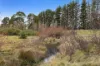8248  The Snowy River Way, Jindabyne, NSW 2627-Image