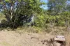 830 Popenia Road, Darts Creek QLD 4695-Image