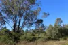 830 Popenia Road, Darts Creek QLD 4695-Image
