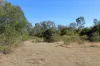 830 Popenia Road, Darts Creek QLD 4695-Image