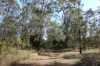 830 Popenia Road, Darts Creek QLD 4695-Image