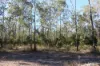 830 Popenia Road, Darts Creek QLD 4695-Image