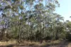 830 Popenia Road, Darts Creek QLD 4695-Image