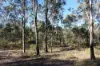 830 Popenia Road, Darts Creek QLD 4695-Image