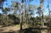 830 Popenia Road, Darts Creek QLD 4695-Image