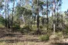 830 Popenia Road, Darts Creek QLD 4695-Image