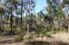 830 Popenia Road, Darts Creek QLD 4695-Image