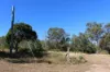 830 Popenia Road, Darts Creek QLD 4695-Image