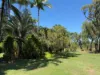 847 Greenhill Road, Ilbilbie, Qld 4738-Image