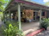 847 Greenhill Road, Ilbilbie, Qld 4738-Image
