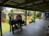 847 Greenhill Road, Ilbilbie, Qld 4738-Image