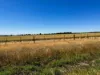 8499 Murray Valley Highway, Kerang East VIC 3579-Image