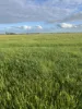 8499 Murray Valley Highway, Kerang East VIC 3579-Image