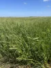 8499 Murray Valley Highway, Kerang East VIC 3579-Image