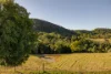 85 Mineshaft Road, Eerwah Vale, Qld 4562-Image