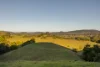 85 Mineshaft Road, Eerwah Vale, Qld 4562-Image