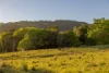 85 Mineshaft Road, Eerwah Vale, Qld 4562-Image