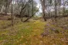 855 Bonds Road, Mudgee, NSW 2850-Image