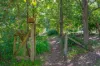 86 Toms Creek Road, Ellenborough, NSW 2446-Image