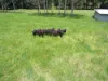 8622 Kennedy Highway, Atherton QLD 4883-Image