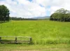 8622 Kennedy Highway, Atherton QLD 4883-Image