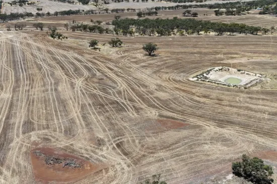 8662, Cunderdin-Quairading Road, Youndegin, WA 6407