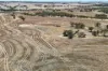 8662, Cunderdin-Quairading Road, Youndegin, WA 6407-Image