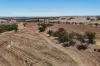 8662, Cunderdin-Quairading Road, Youndegin, WA 6407-Image