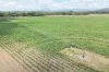 87 Chettle Road, Arriga QLD 4880-Image