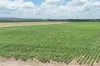 87 Chettle Road, Arriga QLD 4880-Image