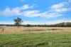 87 Thrums Road, Greta West, Vic 3675-Image