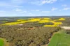 8765 Flinders Highway, Mount Hope, SA 5607-Image