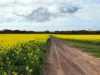 8765 Flinders Highway, Mount Hope, SA 5607-Image