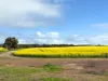 8765 Flinders Highway, Mount Hope, SA 5607-Image