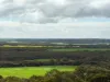 8765 Flinders Highway, Mount Hope, SA 5607-Image