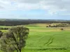 8765 Flinders Highway, Mount Hope, SA 5607-Image