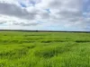 8765 Flinders Highway, Mount Hope, SA 5607-Image