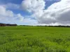 8765 Flinders Highway, Mount Hope, SA 5607-Image