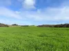 8765 Flinders Highway, Mount Hope, SA 5607-Image