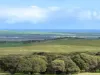8765 Flinders Highway, Mount Hope, SA 5607-Image