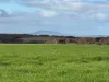 8765 Flinders Highway, Mount Hope, SA 5607-Image