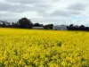 8765 Flinders Highway, Mount Hope, SA 5607-Image