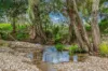 88 Germons Lane, Craven via, Gloucester NSW 2422-Image