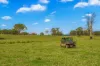 88 Germons Lane, Craven via, Gloucester NSW 2422-Image