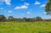 88 Germons Lane, Craven via, Gloucester NSW 2422-Image