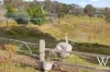 88 Jones Lane, Newbridge, NSW 2795-Image