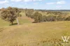 88 Jones Lane, Newbridge, NSW 2795-Image