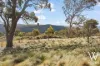 88 Jones Lane, Newbridge, NSW 2795-Image