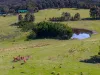 885 Caoura Road, Tallong, NSW 2579-Image