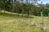 89 Manresa Park Road, Glendon Brook, NSW 2330-Image